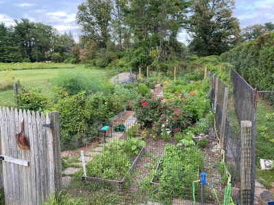 Community-Garden