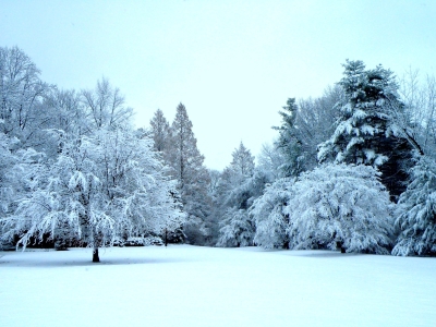 Mansion-Winter-Lawn