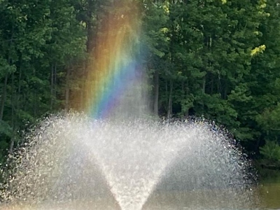 pond rainbow